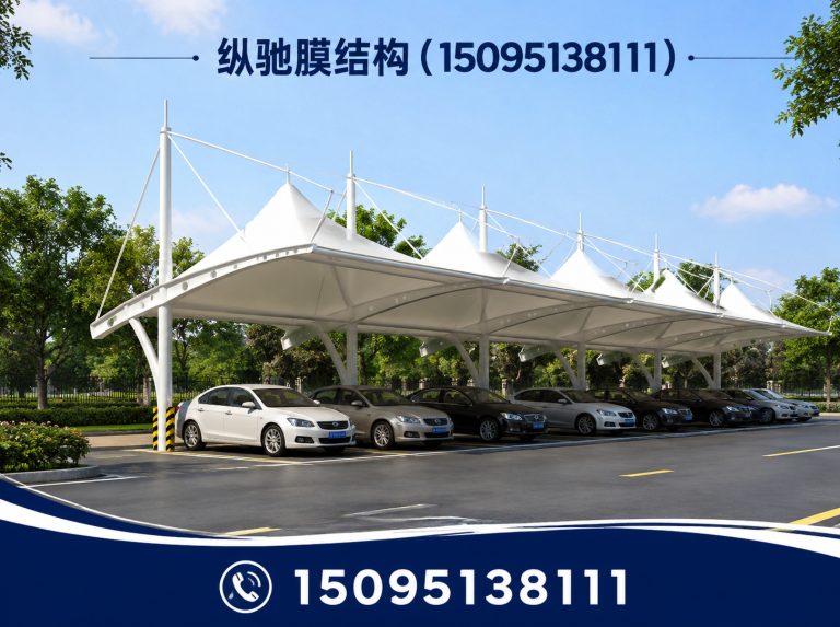 山东膜结构车棚展示图